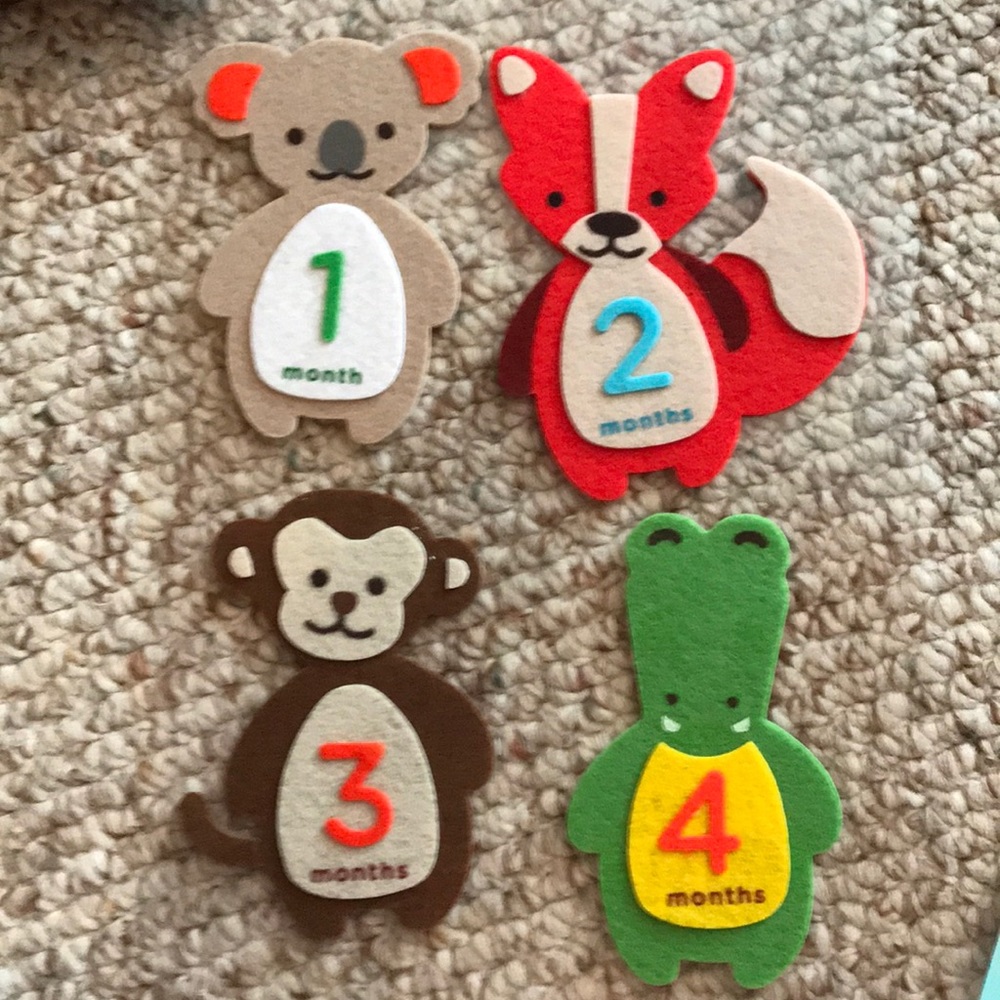 First year belly stickers